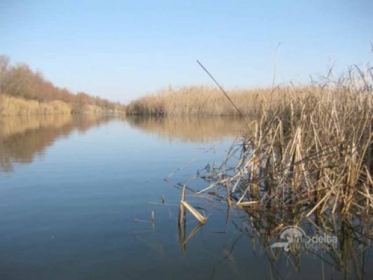 Pescari ucraineni, cercetaţi pentru trecere ilegală a frontierei